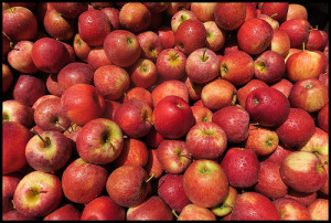 are apples paleo