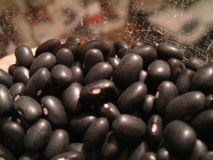 are black beans paleo