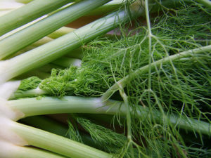 is fennel paleo