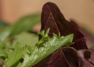 is lettuce paleo