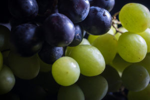 are grapes paleo