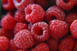 are raspberries paleo