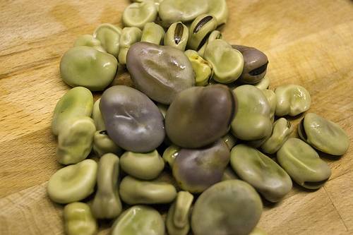 are beans paleo