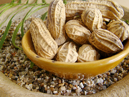 are peanuts paleo