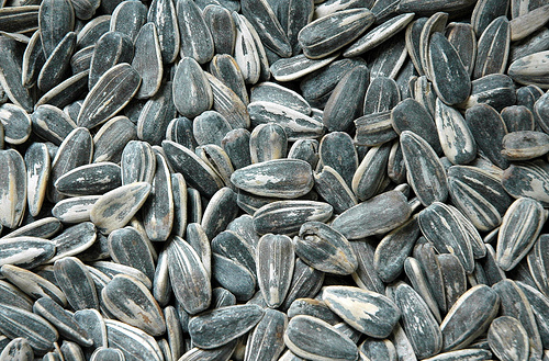 are sunflower seeds paleo