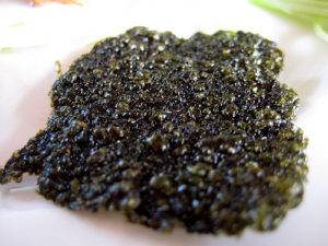 is seaweed paleo