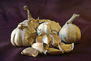 is garlic paleo