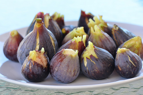are figs paleo