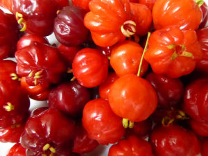 are goji berries paleo